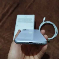 iphone 11|موبایل|شیراز, گود عربان|دیوار