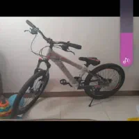 دوچرخه دنده ای 20