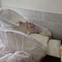 سرشور کاسه متحرک شرکتی