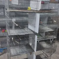 قفس هشت خان بازاری و پژاوند|لوازم جانبی حیوانات|کرج, شهرک بنفشه|دیوار