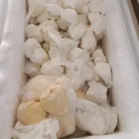 مرغوب ترین کره گاوی در سروستان