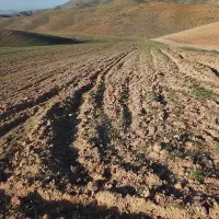 زمین-کشاورزی