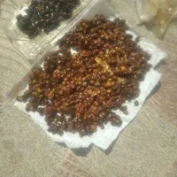 خرمای خاسوی ومضافتی درجه یک