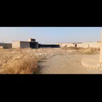 فروش گاوداری