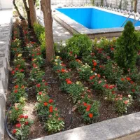 باغبانی سمپاشی گل آپارتمانی گلکاری هرس کردن