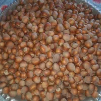 فندق گردویی کوهستانی آفتاب خشک|خوردنی و آشامیدنی|رستم‌آباد, |دیوار