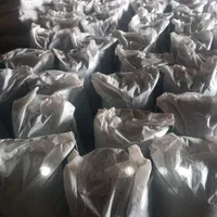 کود ورمی کمپوست مخصوص باغ/ درخت گلخانه و..|خدمات باغبانی و درختکاری|ملایر, |دیوار