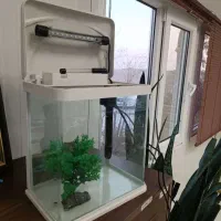 فروش آکواریوم شرکتی