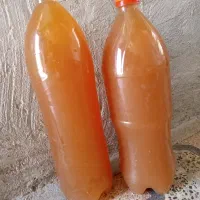 آبغوره تازه