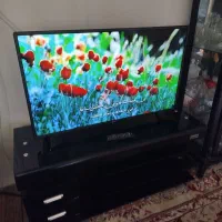 ال ای دی 42الجی