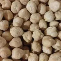 نخود گوکسو