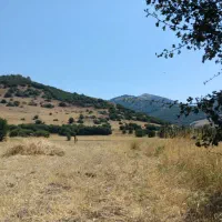 زمین روستای سقزچی