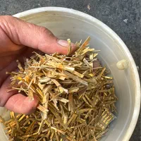 پین و سوکت ضایعاتی اروپایی جهت بازیافت طلای ۲۴عیار|خدمات پیشه و مهارت|تهران, زنجان جنوبی|دیوار