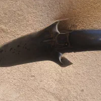 گلگیر گالکسی جی تی