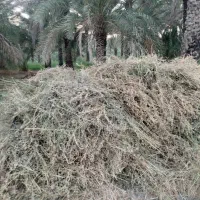 بیده‌فروشی