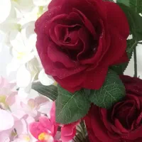 گل نو شاین دار|گل مصنوعی|خوی, |دیوار