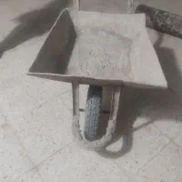 فرقون