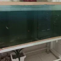 آکواریوم بزرگ