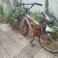 دوچرخه سایز20|دوچرخه، اسکیت، اسکوتر|بابل, |دیوار