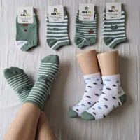 جوراب|لباس|شیروان (خراسان), |دیوار