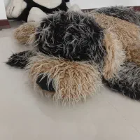 عروسک بزرگ و تاب کودک و میز آرایش کودک|اسباب‌بازی بچه|سهند, |دیوار