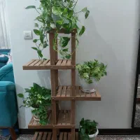 استند گلدان