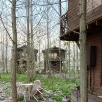 ویلا لب آب با ویو ۳۶۰ درجه جنگل