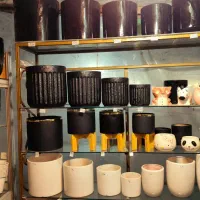 گل در گلدان ها سرامیک قیمت مناسب