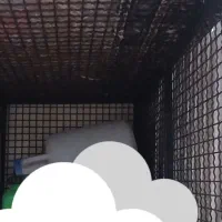 قفس|لوازم جانبی حیوانات|کشکسرای, |دیوار