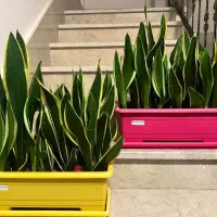 فروش سینما خانواده سالم و تمیز|سیستم صوتی خانگی|محلات, |دیوار