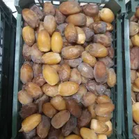 رطب کبکاب عسلی|خوردنی و آشامیدنی|کرج, بنیاد|دیوار