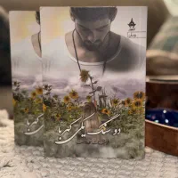 کتاب دو سنگ یکی کهربا
