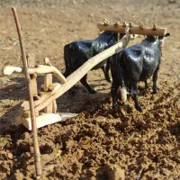 دکوری جفت گا|مجسمه، تندیس، ماکت|لردگان, |دیوار