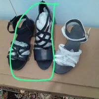 کفش|کیف، کفش، کمربند|شیراز, محراب|دیوار