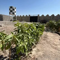 670 متر باغ و باغچه چسب بافت 100 متر فاصله