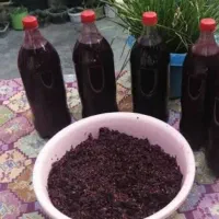 آب زرشک کوهی خراسان