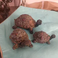 لاکپشت ‌و مجسنه تفکر