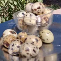 تخم گوشت بلدرچین ارگانیک تغذیه‌شده باگیاهان دارویی|خوردنی و آشامیدنی|مشهد, راهنمایی|دیوار