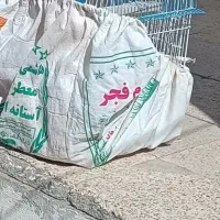 گمشده|حیوانات|خمین, |دیوار