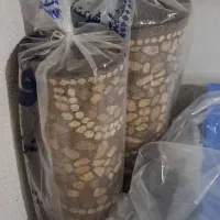 فرش سنگی نو