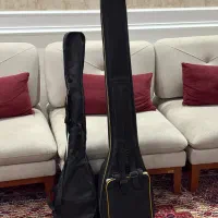 دیوان بزرگسال و کودک