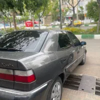 زانتیا در حد شاستی سالم