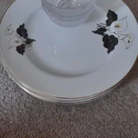 ظروف پذیرایی و کاربردی