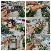 جا کلیدی جاسوئیچی جا کلیدی دیواری پشت خاران دیفن