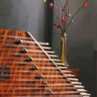 آموزش/تدریس خصوصی سنتور