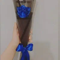 گل روبانی|گل مصنوعی|مهاباد (آذربایجان غربی), |دیوار