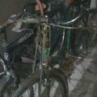 سه عدد دوچرخه به قیمت زایعات سالم