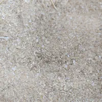 خوراک دام و کنسانتره و سبوس و ...|عمده‌فروشی|مهربان, |دیوار