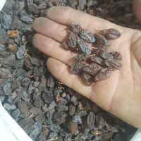 مویز افتابی|خوردنی و آشامیدنی|شیراز, کوزه گری|دیوار