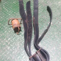 کمربند چرم و حیوان علامت